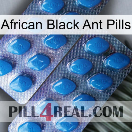 African Black Ant Pills viagra2